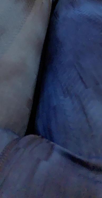 E07EEA31-70CB-4AE2-B523-5F352B2DEE75.jpeg