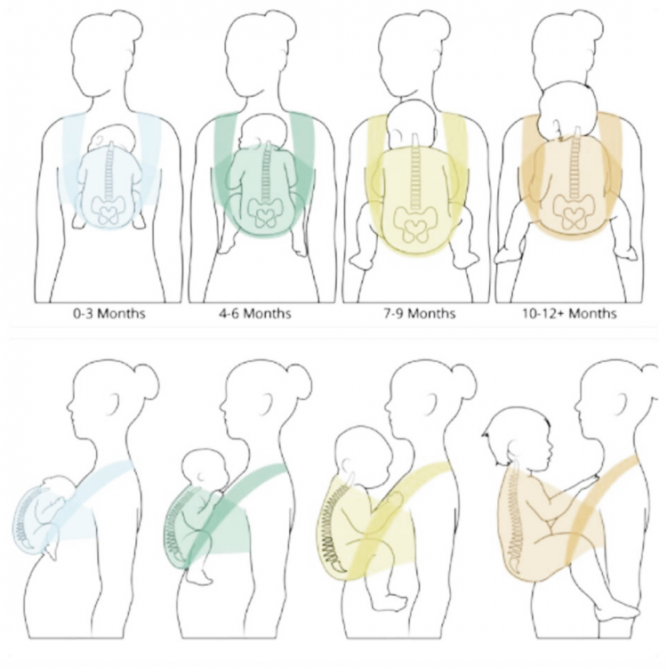 image.thumb.png.f24f23e9a1a79a4e6ca662b45c8cda44.png