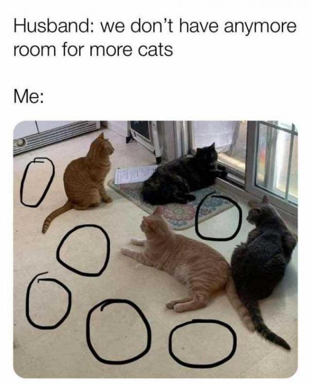 image.thumb.jpeg.230498a821c3527a692f261923a6f7a3.jpeg