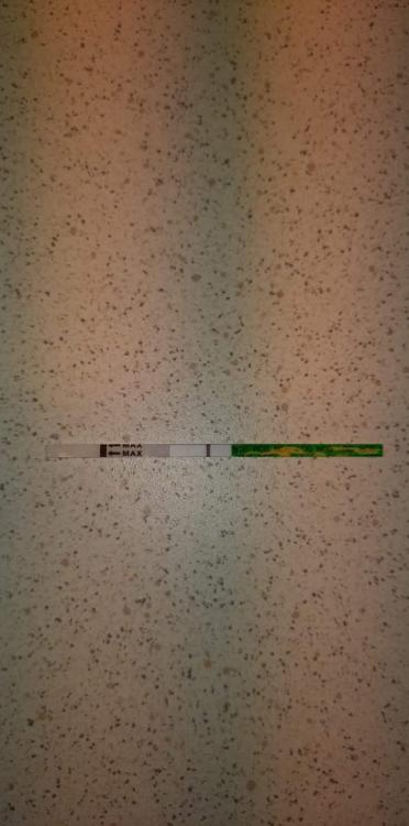 received_319228122480912.thumb.jpeg.bf5e69c759d3cfb3180dde6df045be0c.jpeg
