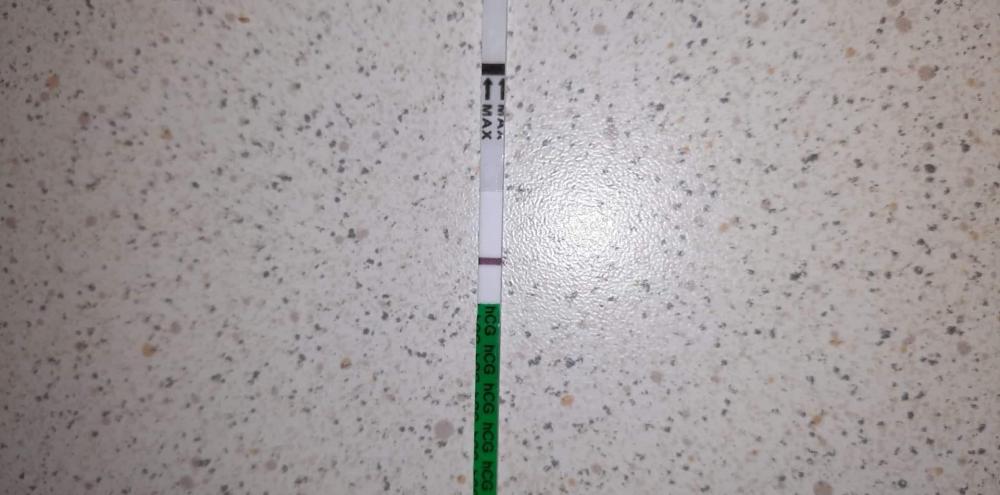 received_663953674244190.thumb.jpeg.812aafeb597c1a202b5954edba49aa62.jpeg