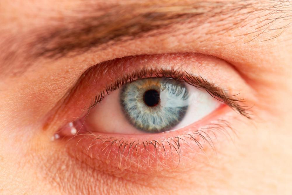 wait-theres-no-such-thing-as-blue-eyes-492543296-mediaphotos.thumb.jpg.301f79988474391bde53f592ac33f27d.jpg