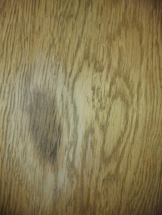 20201003_122415.jpg
