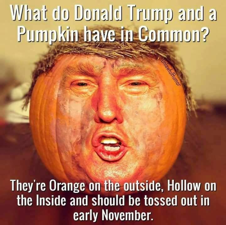 trump-pumpkin-common-58126ce25f9b58564cf1f586.jpg.78d202ac3aecee608e5045f33f015983.jpg