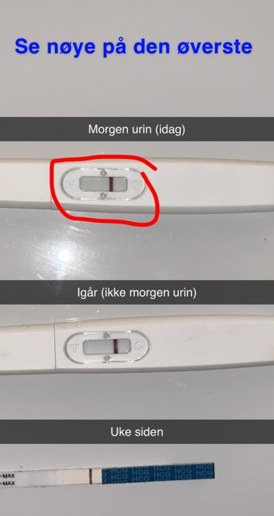 C007D9D4-DB9A-419E-A4FF-1A952F712192.jpeg
