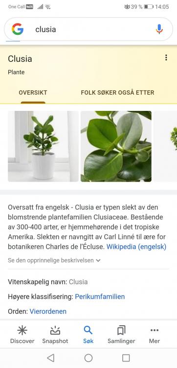 Screenshot_20201105_140558_com.google.android.googlequicksearchbox.jpg