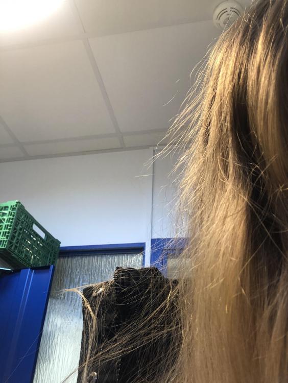 15608191-B0BD-4900-A811-5B759362EDD7.jpeg