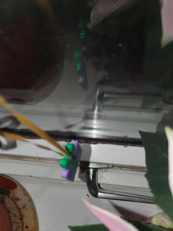 20201210_205400.jpg