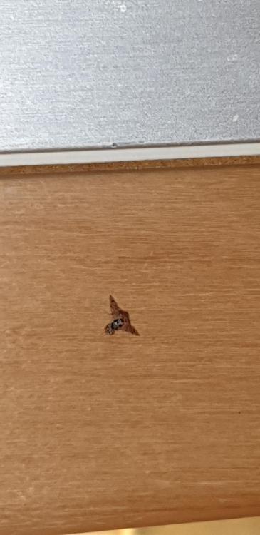 20201224_224034.jpg