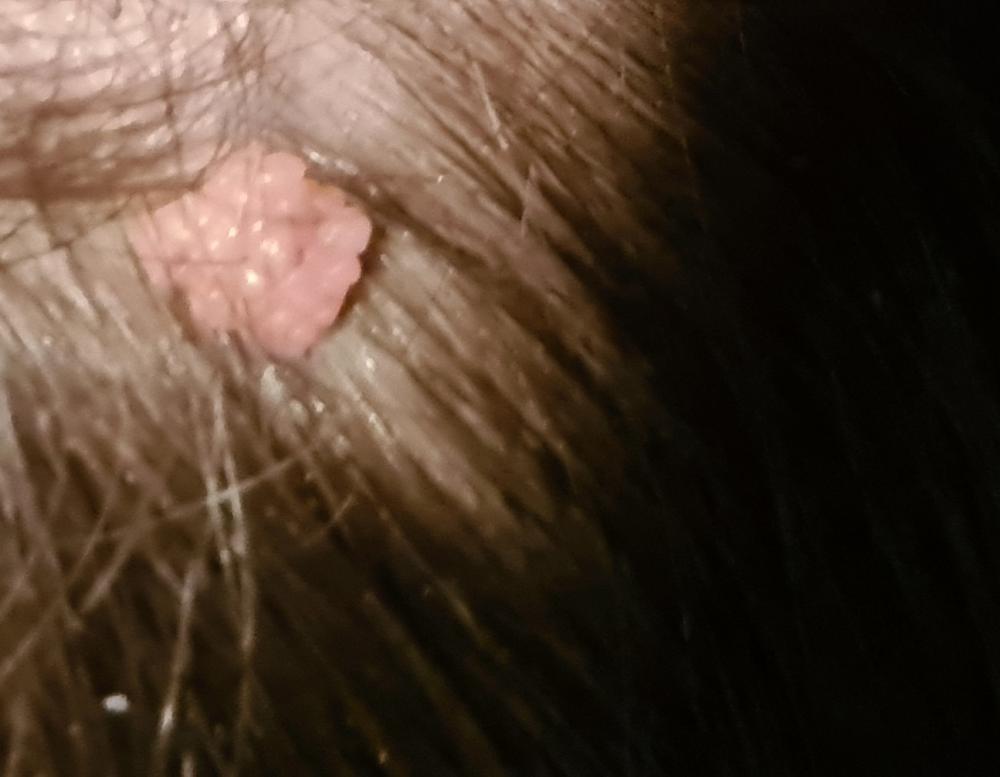 20201229_203934.jpg