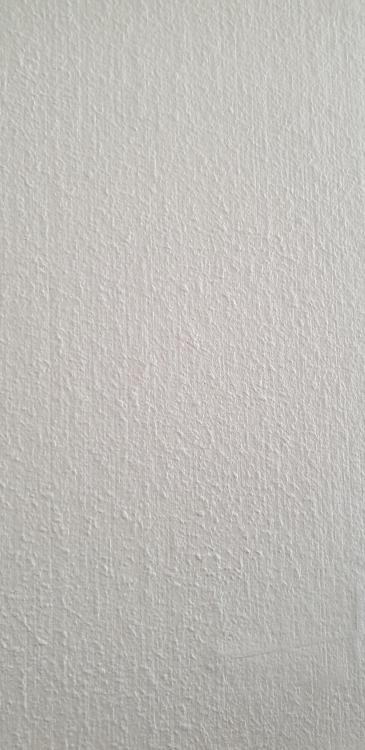 16118380193972849538669939732247.jpg