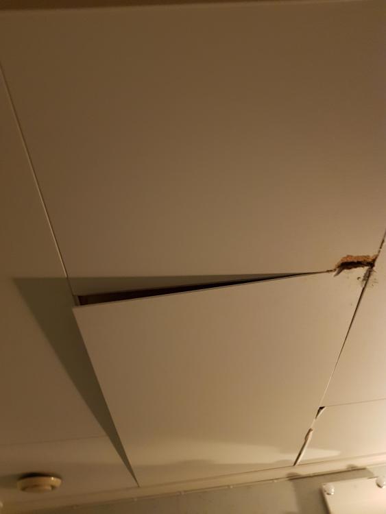 20210110_174944.thumb.jpg.15f6dfe6587e9cb07e4050fa29086def.jpg
