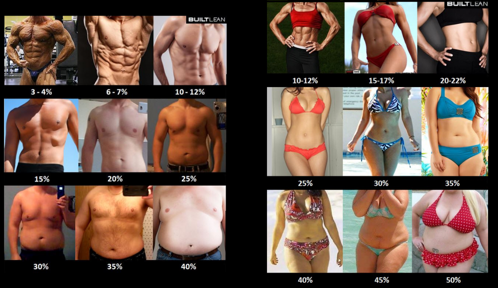 1508236251_BodyFatPercentage-MenandWomen.thumb.PNG.f886ab8ba1cea2004e0118506280f779.PNG
