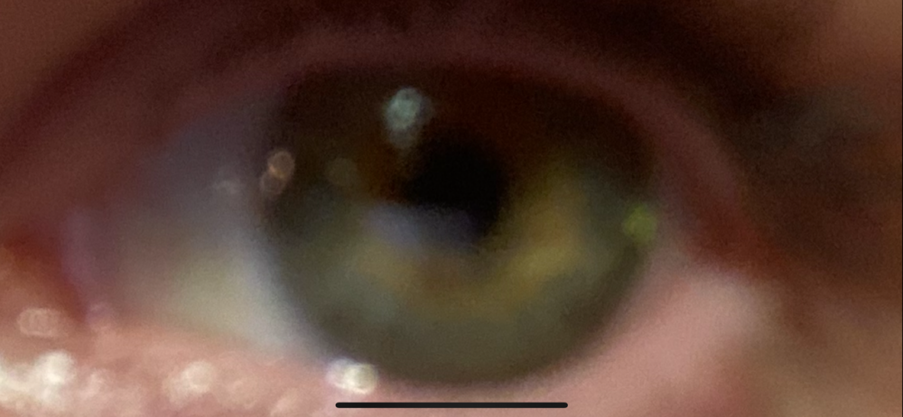 CF5B01BF-5FA4-46C6-B15C-26121B4A80B1.png