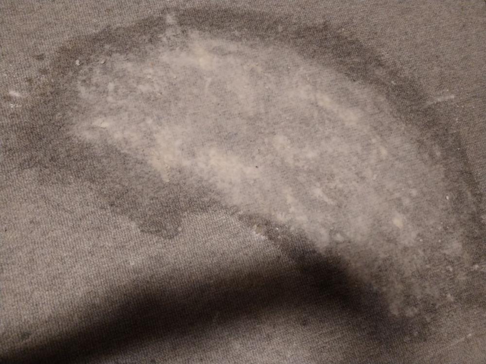 teppemax2.thumb.jpg.5746275628c69768509797b4c1c4a113.jpg