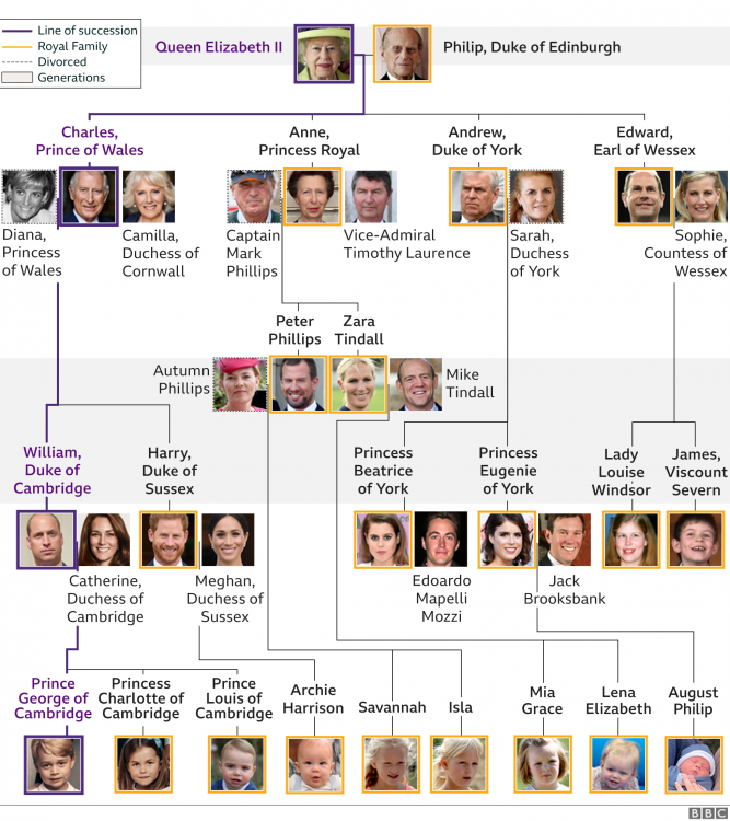 _117099596_royal_family_tree_feb_2021_9762x976-nc.png