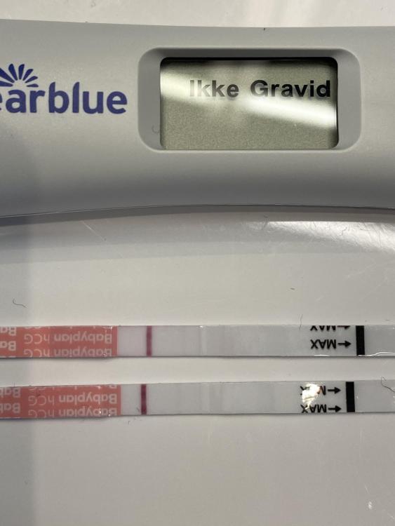 04037149-A988-4E9D-ABA5-E311E7A0325B.jpeg