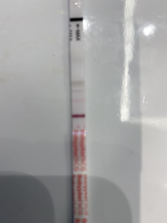 D5A2BAA3-454B-45C4-96D1-68150D548CED.jpeg