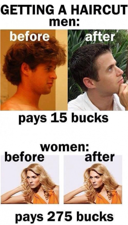 image.thumb.png.cb8cdd80abb0b45da5fc1ec51a58bb73.png