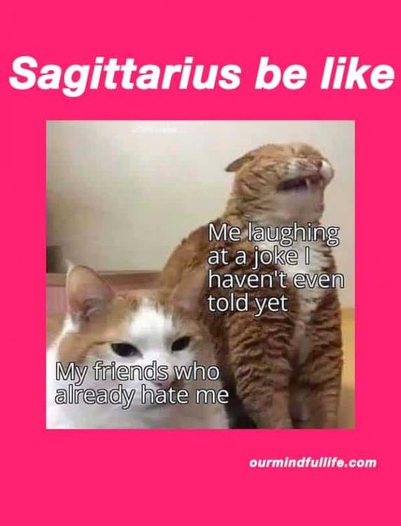 sagittarius-be-like-funny-astrology-memes-OurMindfulLife.com_.jpg