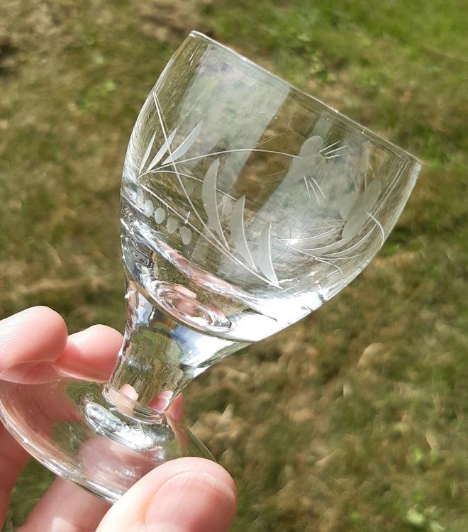 20210726_130912.jpg
