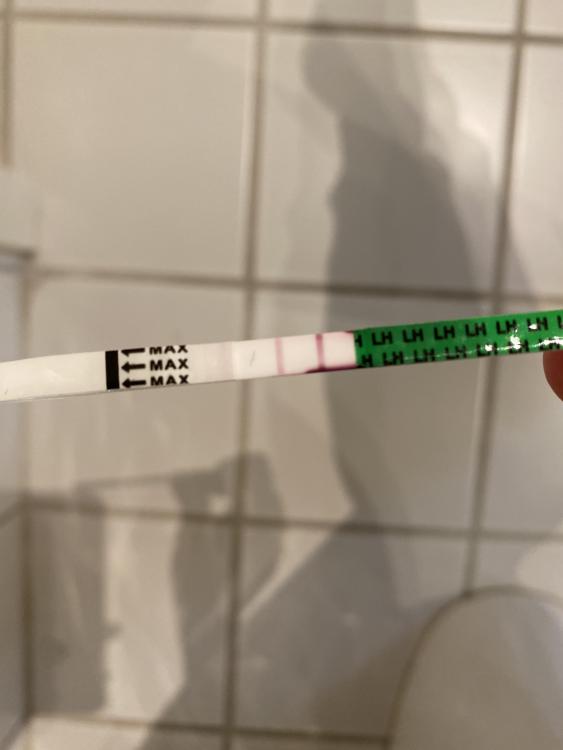 7A149EEA-1185-4E78-8FD9-BCC0E438EF96.jpeg