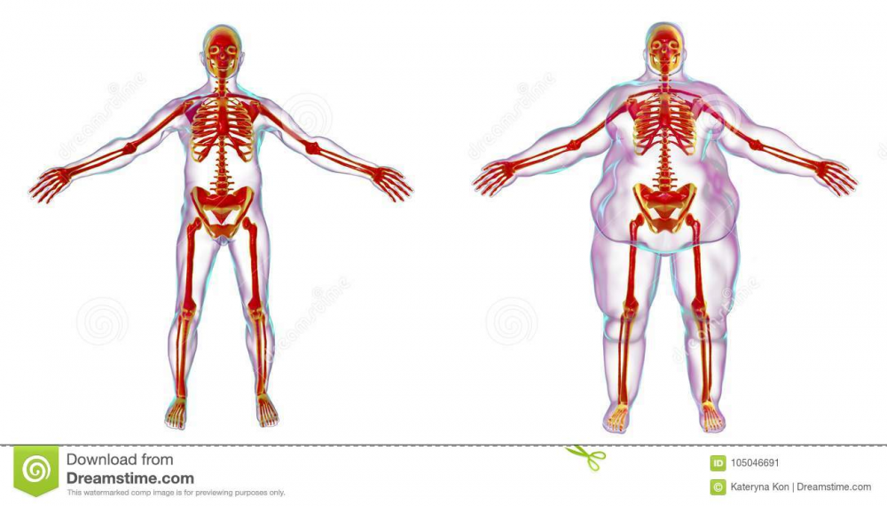 image.thumb.png.1cdb0a02bcd80877f70fc689788930df.png