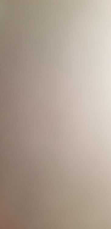 16317210917737183817104726377205.jpg