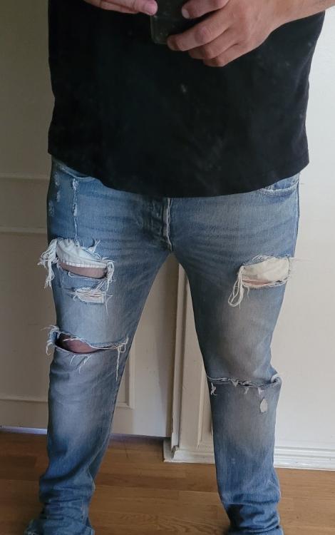 4654535.jpg
