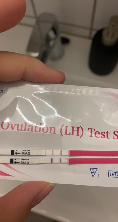 FDA3E9DD-44CC-4DA2-8C96-97FA06D91D81.jpeg