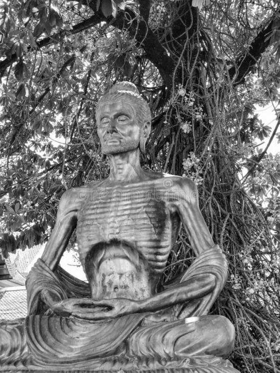 buddha-statue-meditation-form-very-thin-body-sitting-under-cannon-ball-tree-black-white-can-see-bone-tendon-196073801.thumb.jpg.b997807a767b4f0942d29401f5ff7ee7.jpg