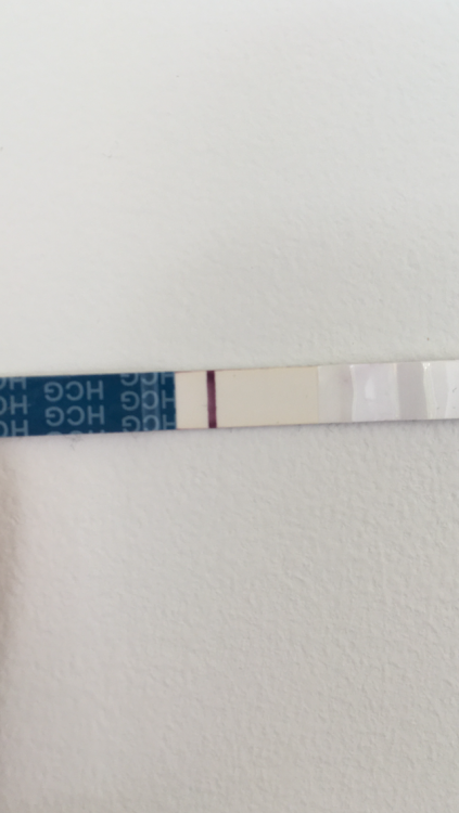 2590AA9B-9FFC-4C51-AEB0-F29E36323D5B.png