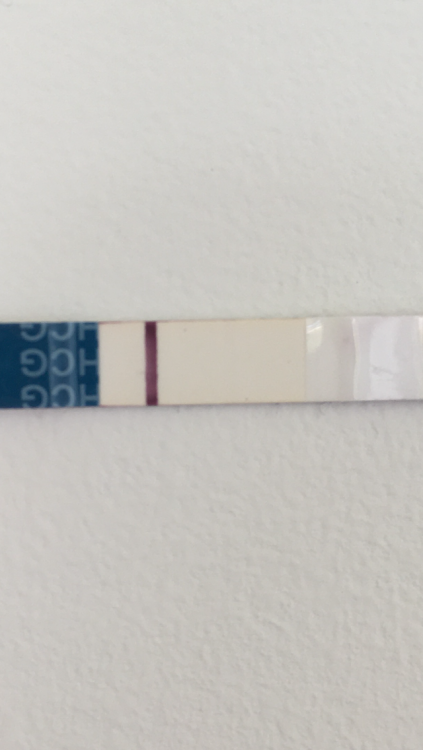 3A86B6E6-A473-4A21-970E-68AEEFB76BF5.png