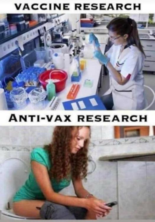 antivax1.jpg