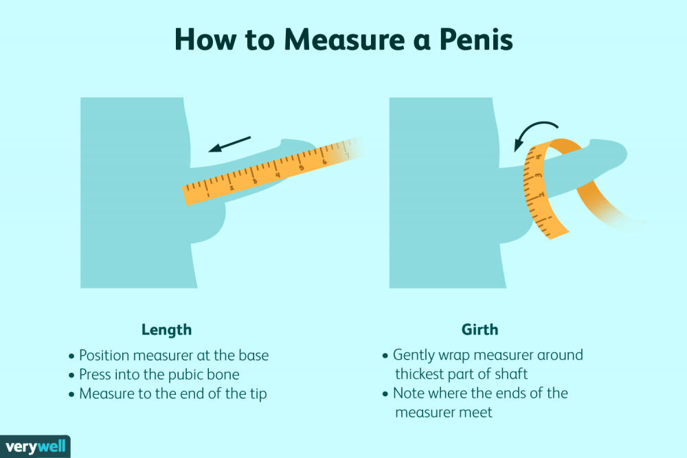 how-to-measure-your-penis-size-906786-01-b72520cfadbf462f999fc6e6db1948e5.png