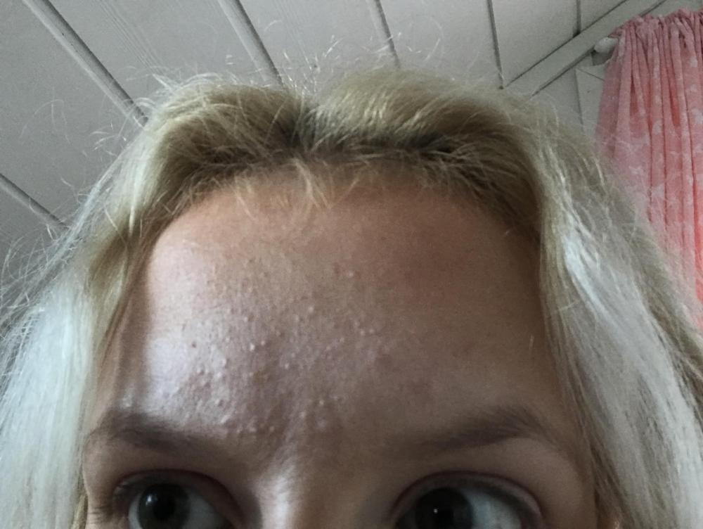 A8E0E21A-1AC2-486E-9C0C-0F82C46D5D59.thumb.jpeg.c7e213887ad833234845c45d5eccf54a.jpeg
