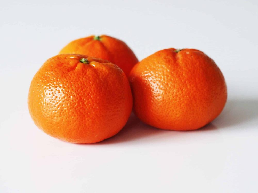 image.thumb.jpeg.83275d3040b84ea02b4422dd569e1856.jpeg