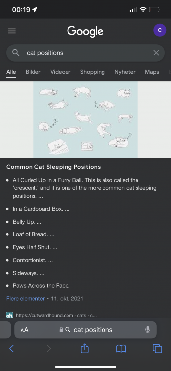 5890F679-C9D9-45C7-94B4-5F1D709EFB6E.png