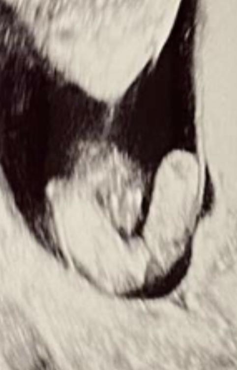 77B5DAEE-7EB6-42B6-A8DE-91DA49FBD5F8.jpeg