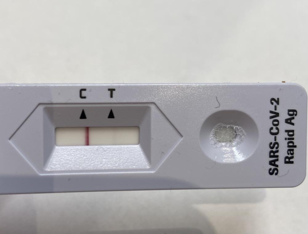 A2F3007C-E6FE-4F1B-A7E7-155052FCA269.jpeg