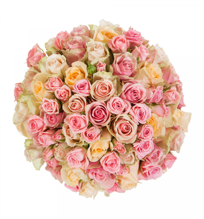 image.thumb.png.62dc3c57fe61e404d447fe880e232117.png