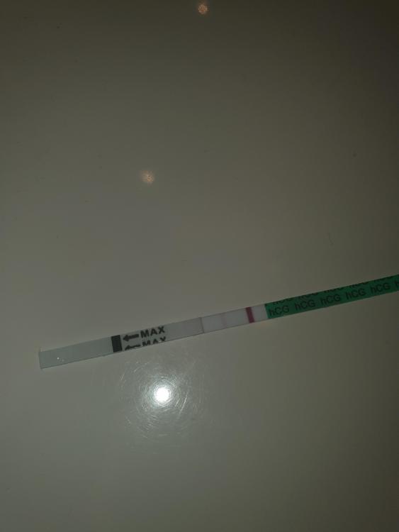 20220219_135158.thumb.jpg.7b83637702b7a1b0cc0d9c14c8c513c4.jpg