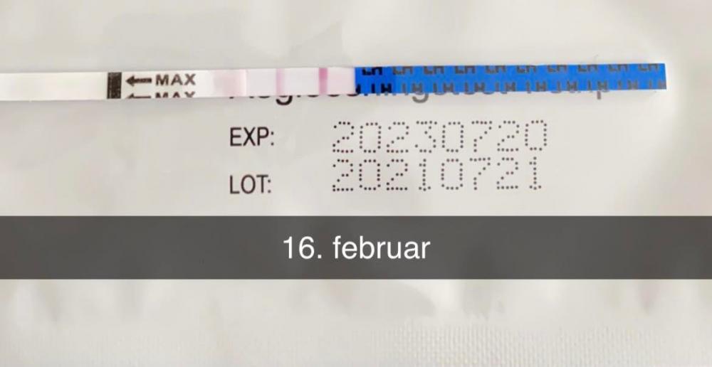 273048862_314461640719442_1035846807858939013_n.jpg