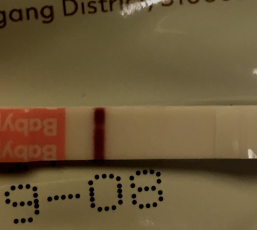 205F2FCF-E373-421E-B5FE-EA8B1D315A2A.jpeg