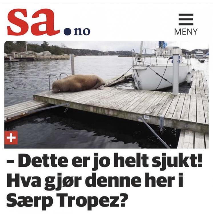 23E3EC10-D763-4877-85F3-D071ED0411F1.jpeg