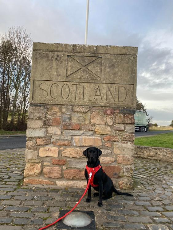 sagascotland.jpeg