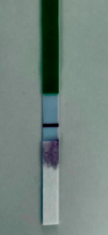 D2E26937-A801-4530-AE1B-594B148DA323.png