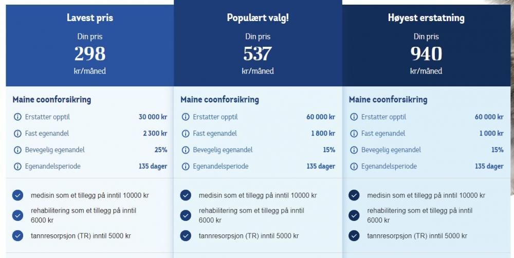 Skjermbilde.JPG