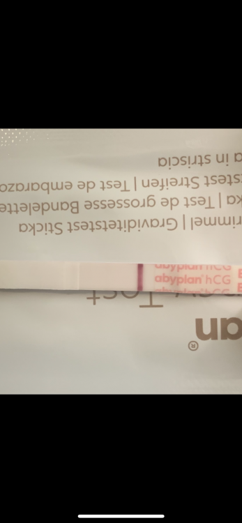 D67487E9-72EC-485C-8B2E-7AD69C65ECBA.thumb.png.35276ec947db446a9999bec504c839ce.png