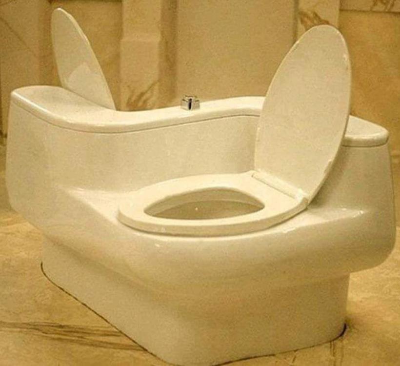 this-double-toilet-for-lovers-lets-couples-poo-at-the-same-time-0.jpg